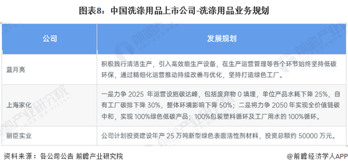 图表8:中国洗涤用品上市公司-洗涤用品业务规划