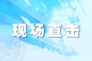 华为子公司8.45亿元摘得东莞松山湖一宗商住用地 带装修最高售价10500元 平